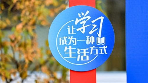 數(shù)字文化創(chuàng)意內(nèi)容應(yīng)用服務(wù) 徐匯打造開放式學(xué)習(xí)空間，賦能家門口的美好教育